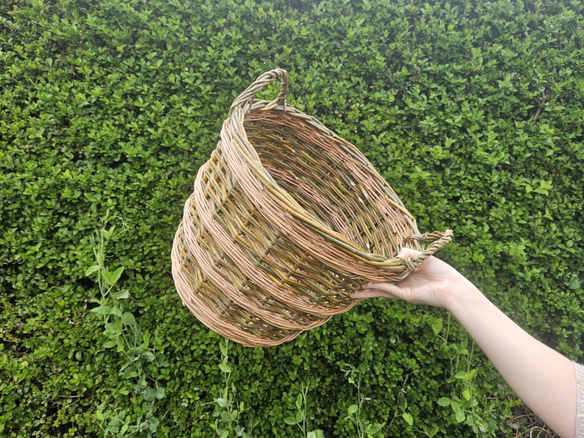 Round willow basket held against a green hedge