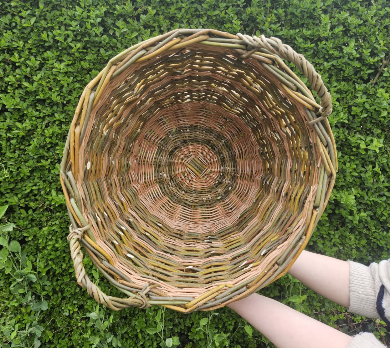 Oval willow basket photographed from above